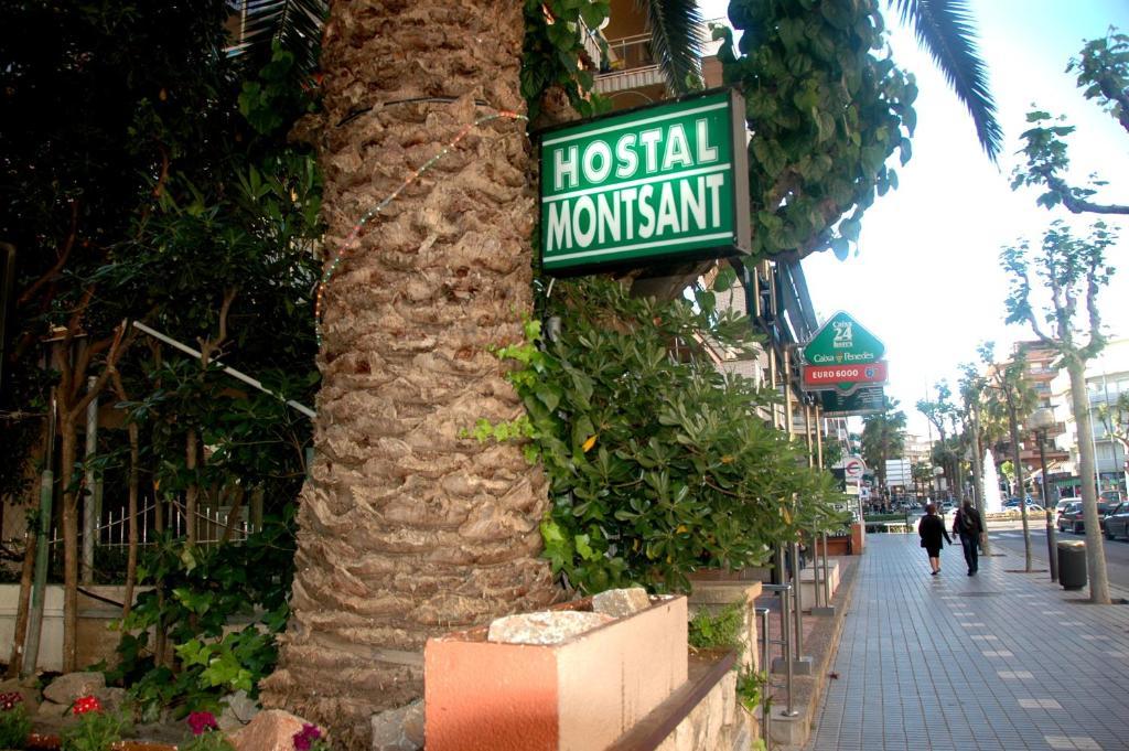 Hostal Montsant 살루 외부 사진
